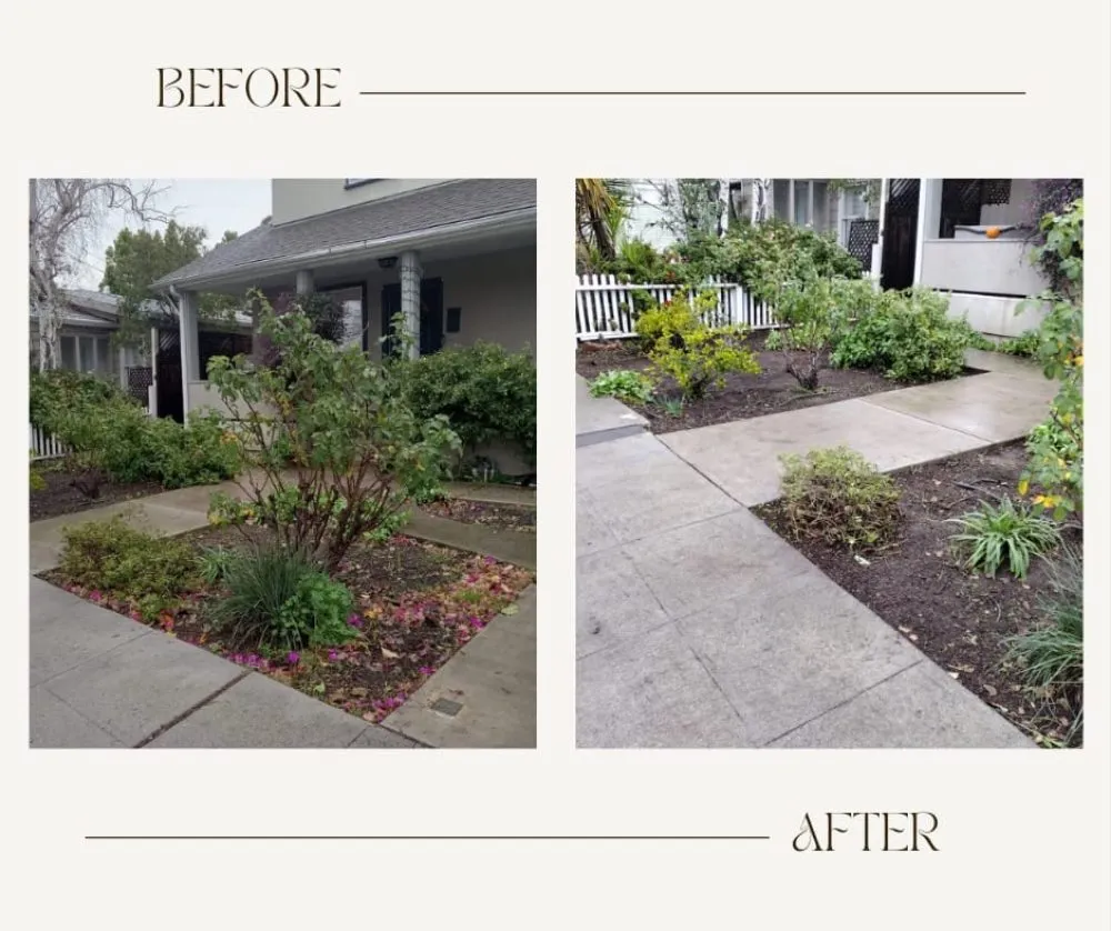 Custom garden landscaping in San Jose, CA by Oax Gardening Service