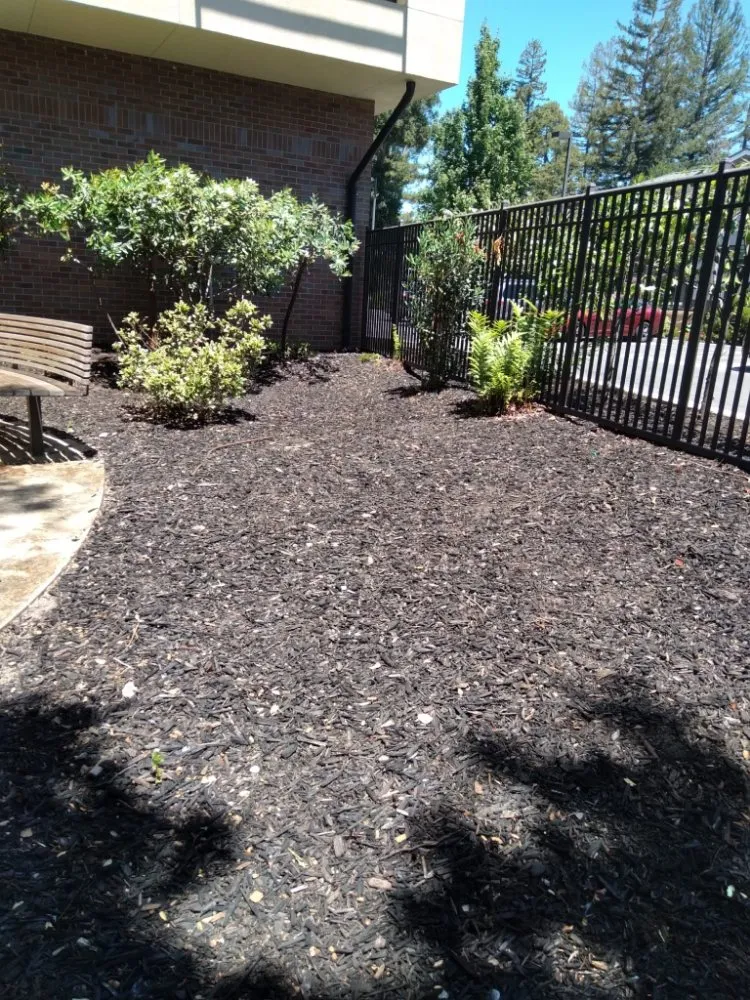 Top-rated landscaping services in San Jose, CA - Oax Gardening Service
