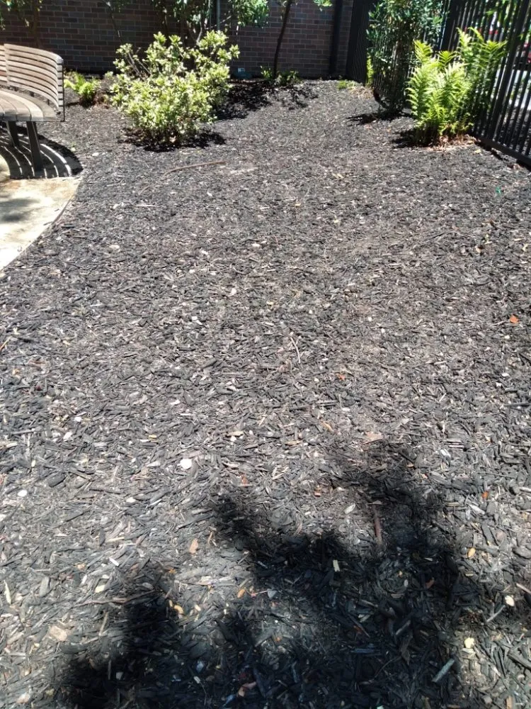 Affordable lawn mowing service for residential properties in San Jose, CA by Oax Gardening Service