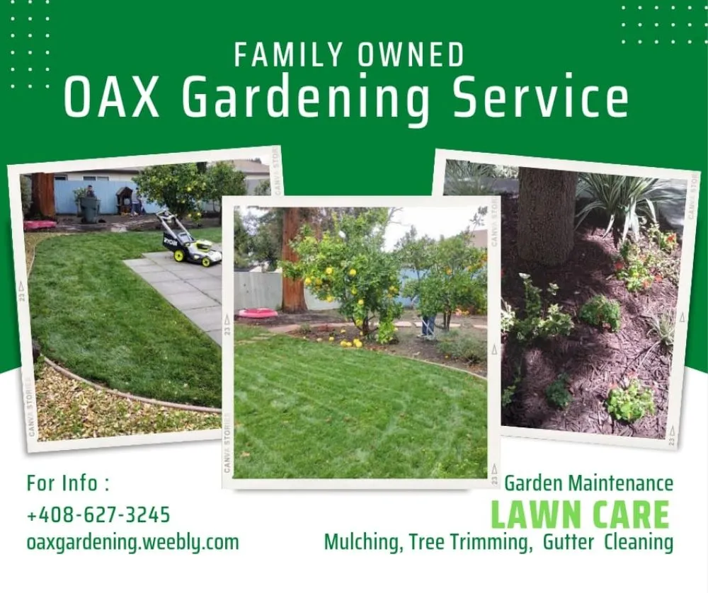 Reliable landscape design in San Jose, CA by Oax Gardening Service