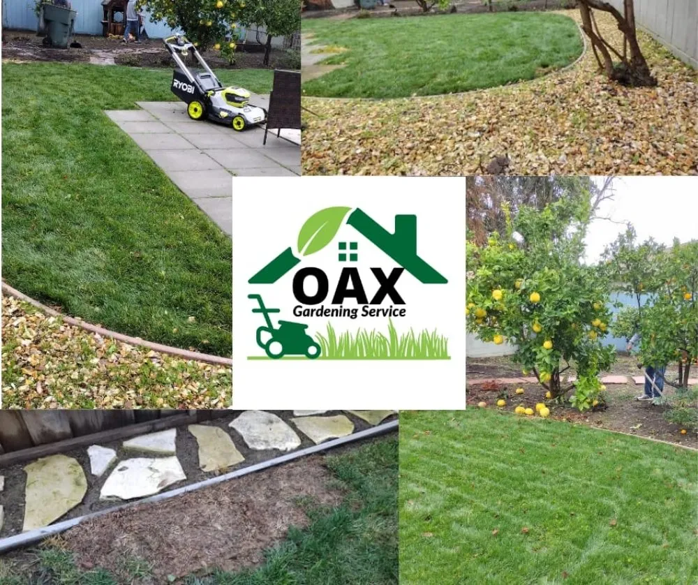 Expert landscaping services in San Jose, CA - Oax Gardening Service