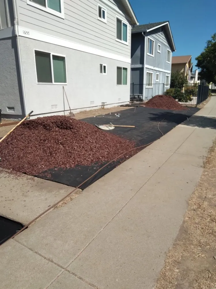 Custom yard maintenance experts serving San Jose, CA - Oax Gardening Service