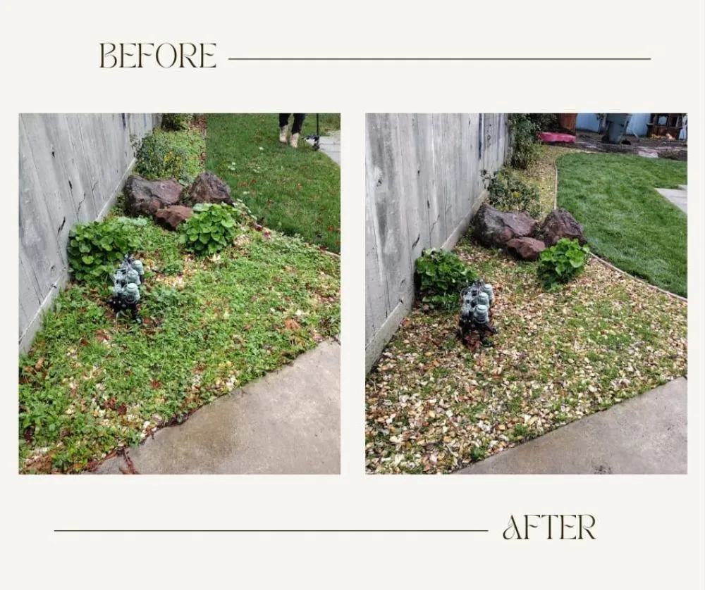 Professional lawn mowing service for homes across San Jose, CA - Oax Gardening Service