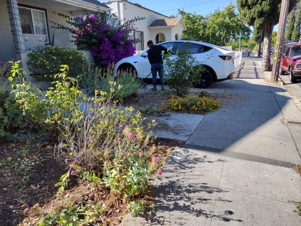 Custom garden landscaping experts serving San Jose, CA - Oax Gardening Service