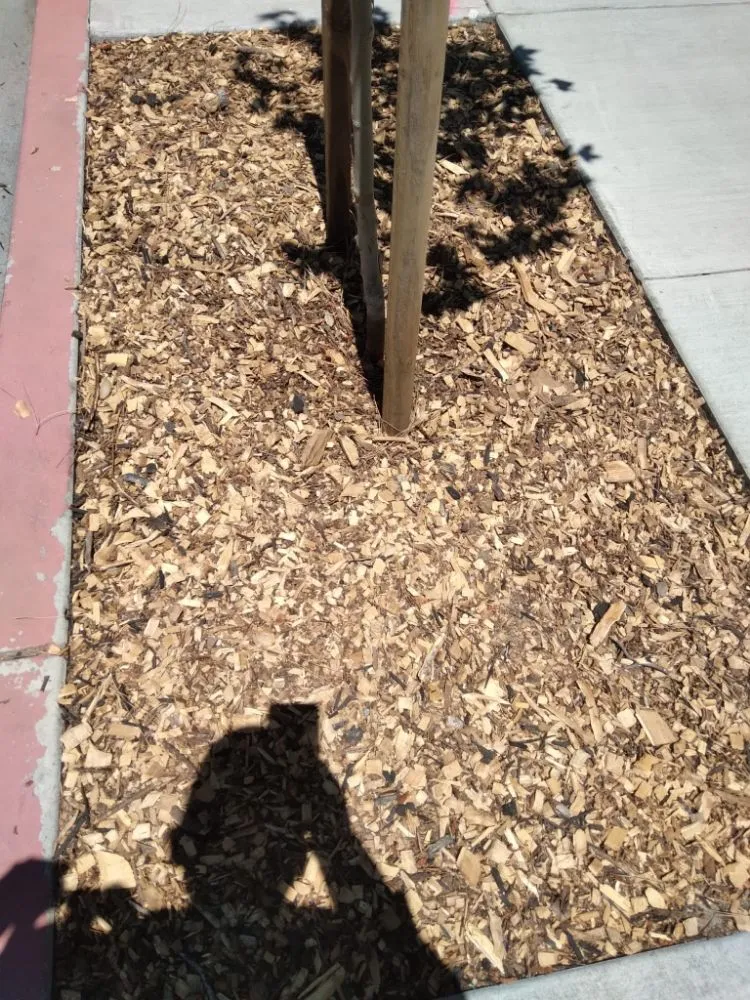 Top-rated yard maintenance experts serving San Jose, CA - Oax Gardening Service