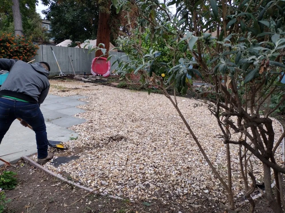 Reliable lawn care service in San Jose, CA - Oax Gardening Service