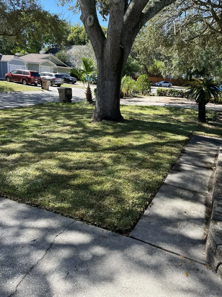 Expert outdoor landscaping in Tampa, FL by OB Garden Center