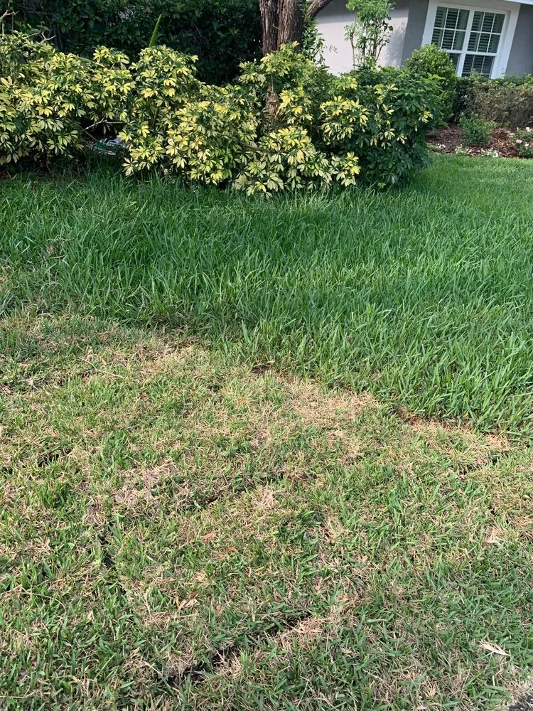 Trusted yard cleanup service in Tampa, FL - OB Garden Center
