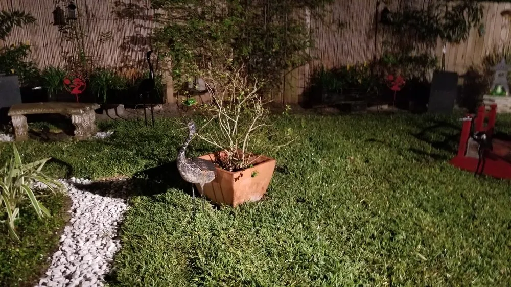 Professional lawn mowing service for residential properties in Tampa, FL by OB Garden Center