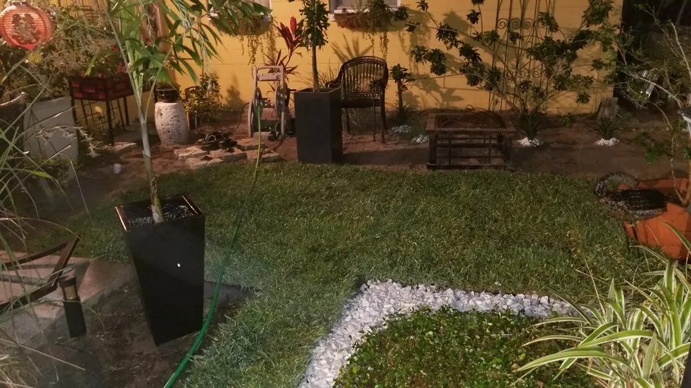 Top-rated yard cleanup service experts serving Tampa, FL - OB Garden Center