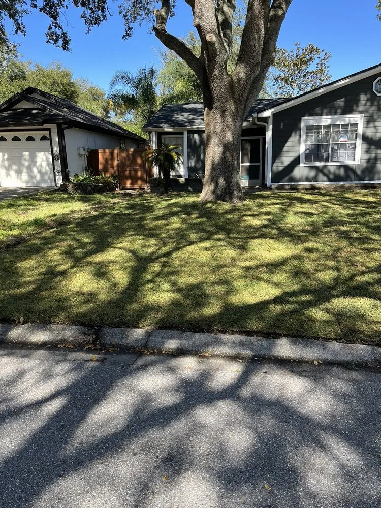 Trusted yard cleanup service for year-round maintenance in Tampa, FL by OB Garden Center