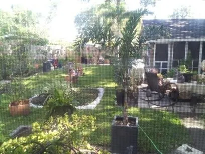 Professional yard maintenance in Tampa, FL by OB Garden Center