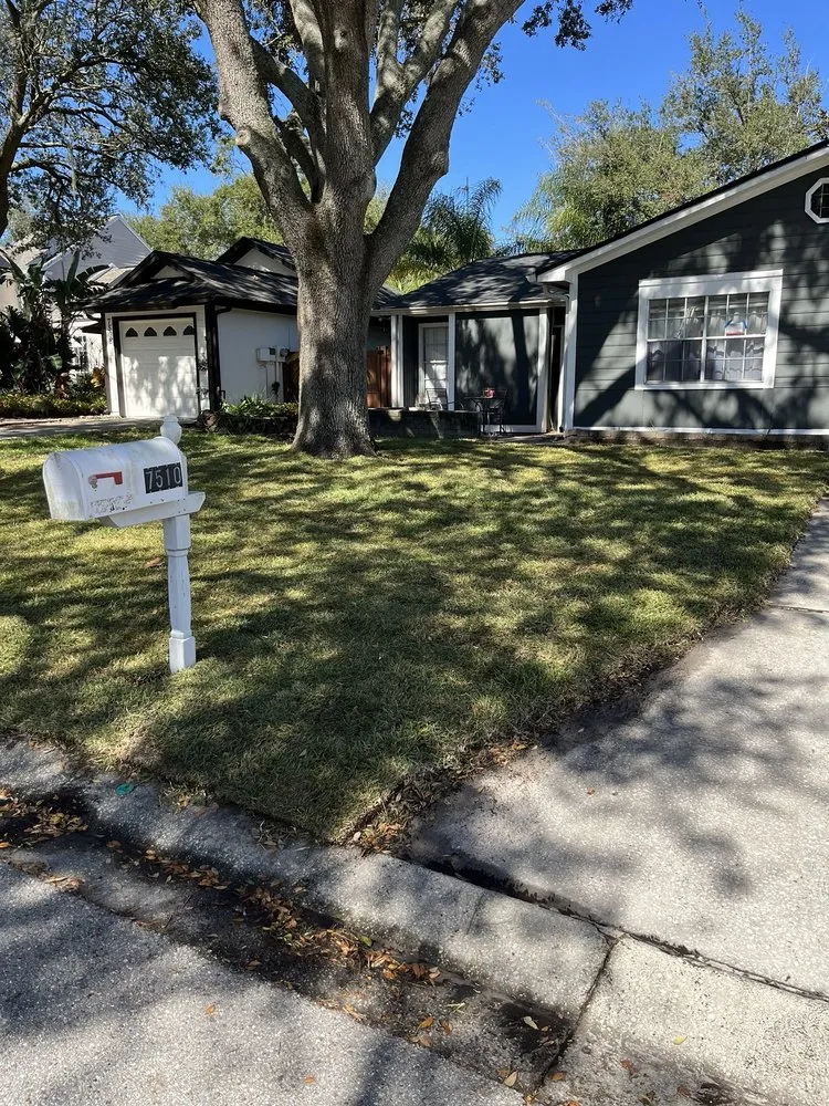 Expert landscape installation in Tampa, FL - OB Garden Center