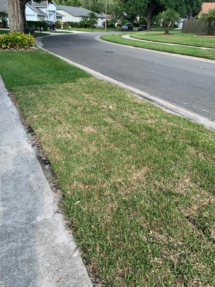 Professional outdoor landscaping for residential properties across Tampa, FL - OB Garden Center