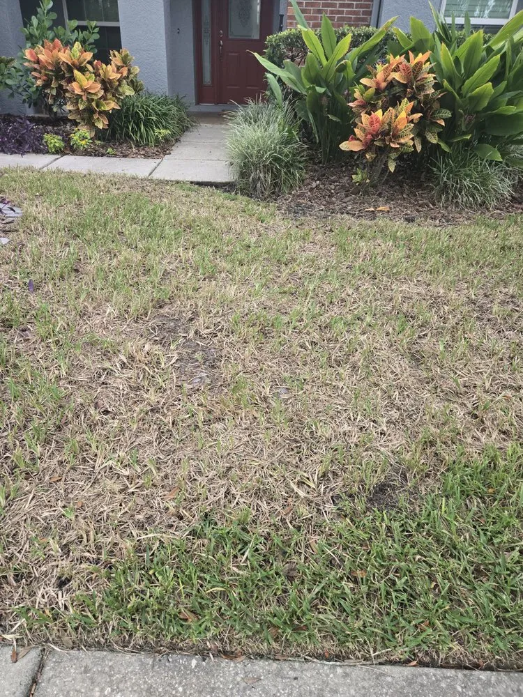 Professional lawn care service for outdoor upgrades across Tampa, FL - OB Garden Center