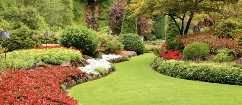 Professional landscape design for residential properties in Pomona, CA by OB Landscaping & Maintenance