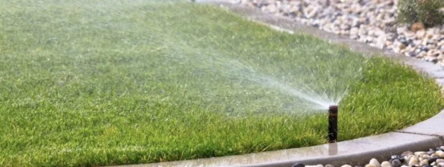 Custom landscape design experts serving Pomona, CA - OB Landscaping & Maintenance