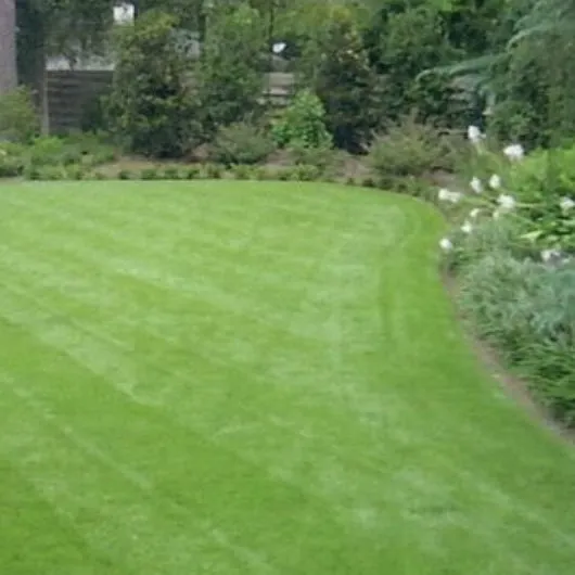 Reliable outdoor landscaping for residential properties in Pomona, CA by OB Landscaping & Maintenance