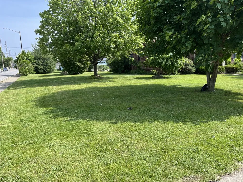 Expert yard cleanup service in Mishawaka, IN - Obando Landscaping and Lawn Services