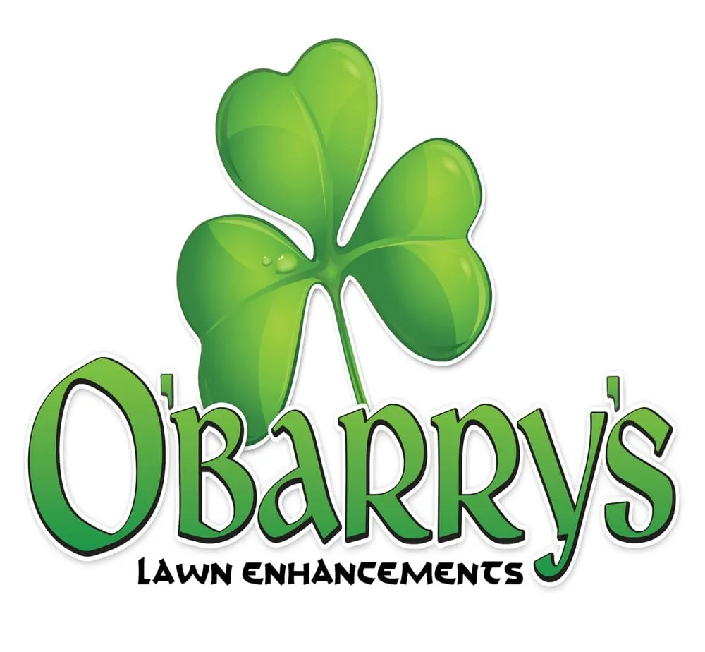 Professional yard cleanup service in Dacula, GA - O'Barry's Lawn Enhancements