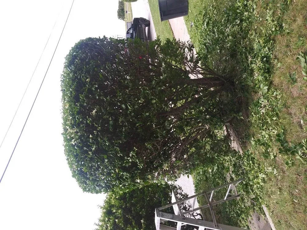 Expert lawn mowing service in Cape May, NJ by Obi's Lawn Care & Tree Trimming