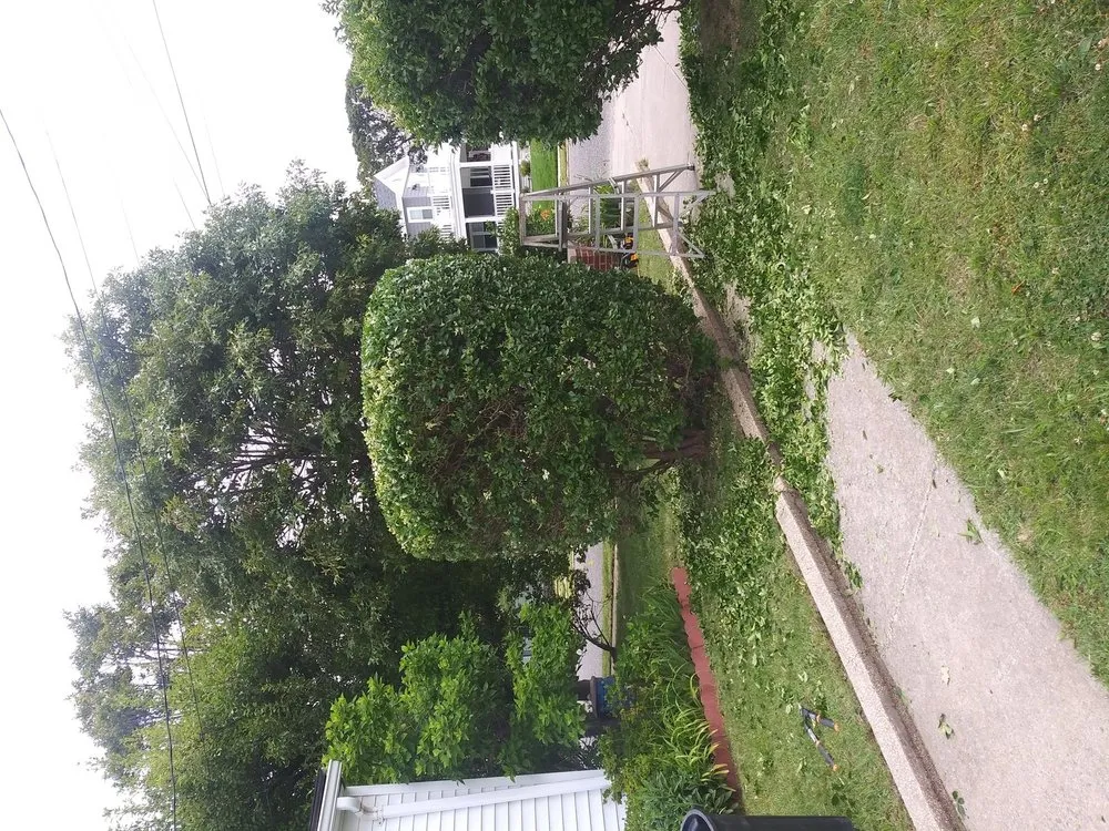 Trusted landscape installation in Cape May, NJ by Obi's Lawn Care & Tree Trimming