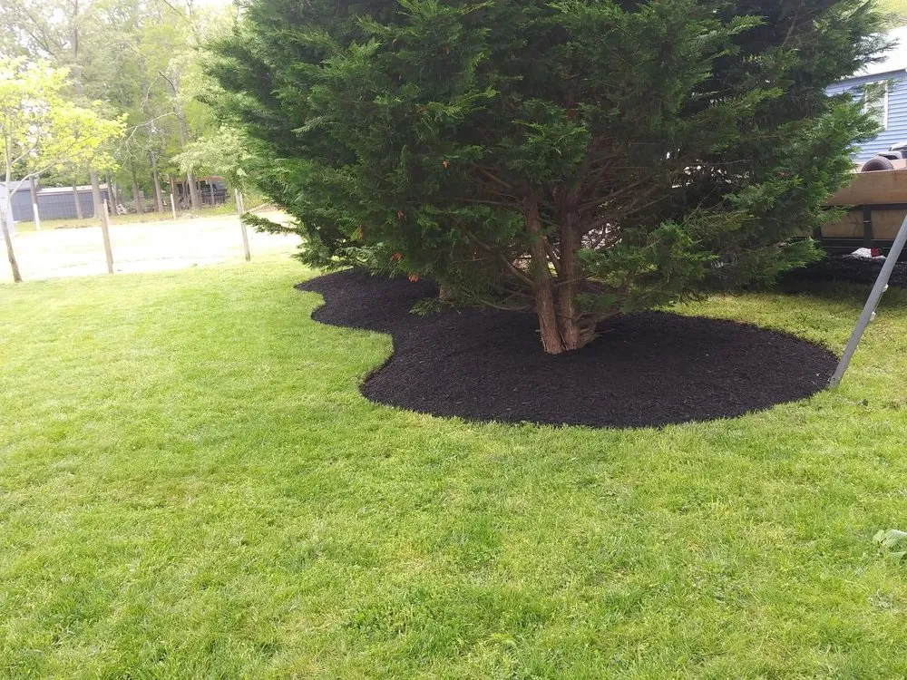 Custom lawn care service for year-round maintenance across Cape May, NJ - Obi's Lawn Care & Tree Trimming