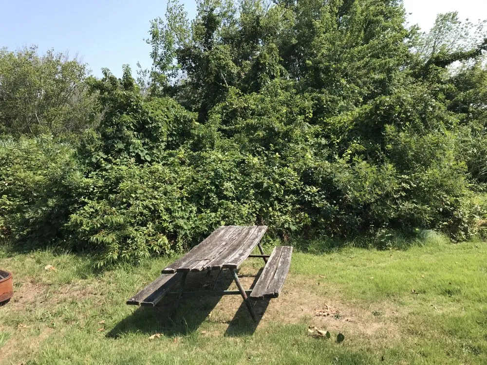 Reliable residential landscaping in Cape May, NJ - Obi's Lawn Care & Tree Trimming