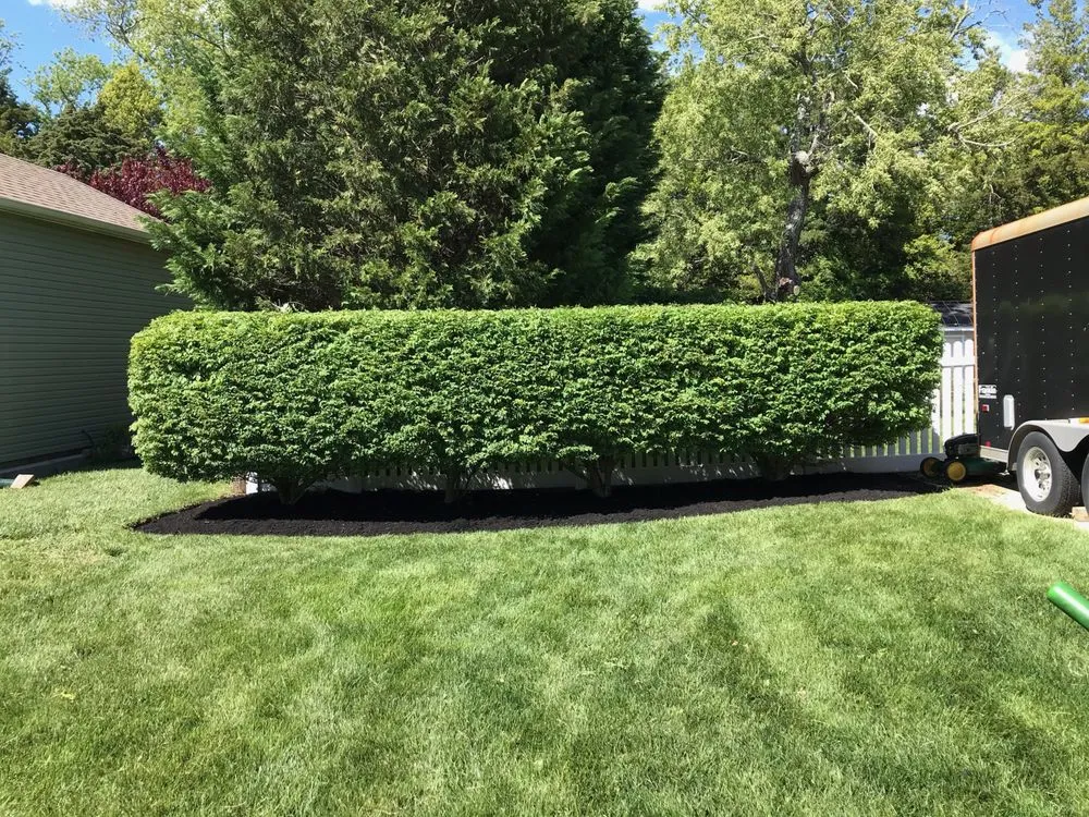 Trusted residential landscaping for homes across Cape May, NJ - Obi's Lawn Care & Tree Trimming