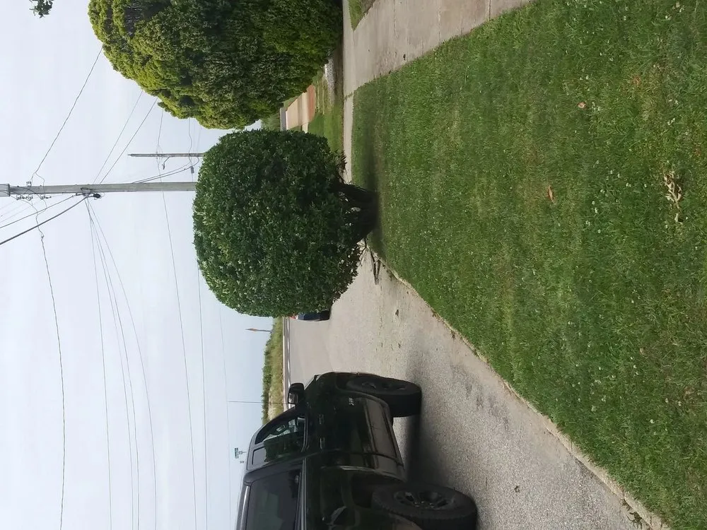 Trusted yard maintenance for year-round maintenance in Cape May, NJ by Obi's Lawn Care & Tree Trimming