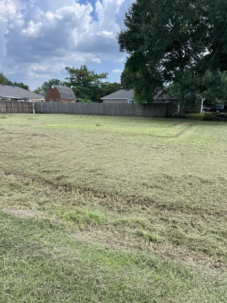 Expert lawn care service in Duson, LA by Oboys Lawn Service