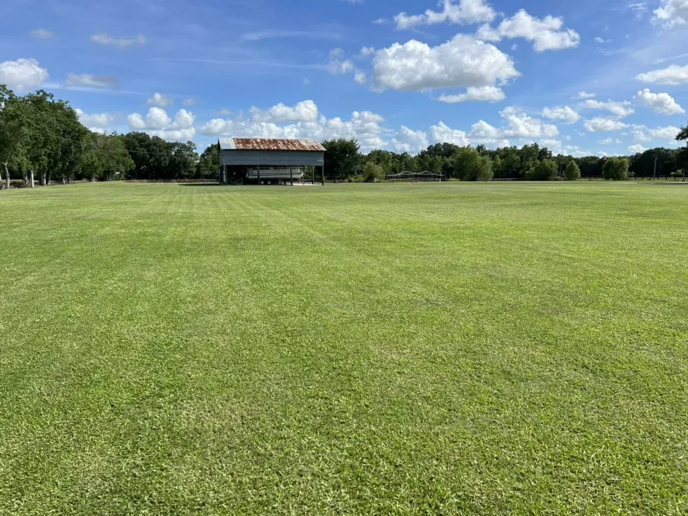 Trusted landscaping services experts serving Duson, LA - Oboys Lawn Service