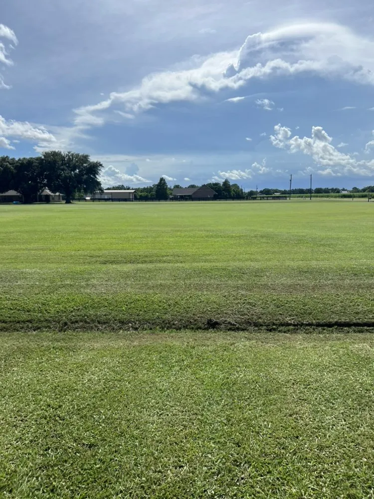 Local landscaping services experts serving Duson, LA - Oboys Lawn Service