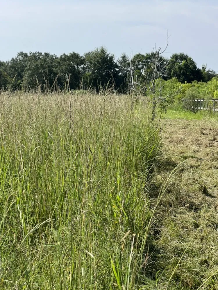 Affordable landscaping services in Duson, LA by Oboys Lawn Service