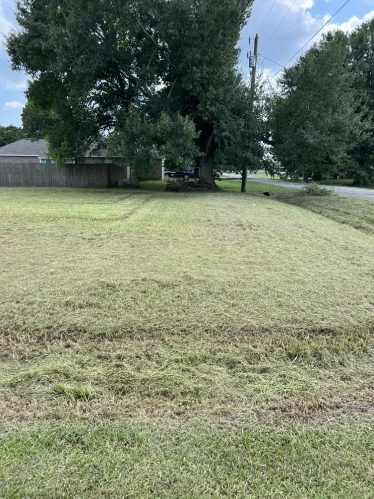 Reliable yard cleanup service in Duson, LA - Oboys Lawn Service