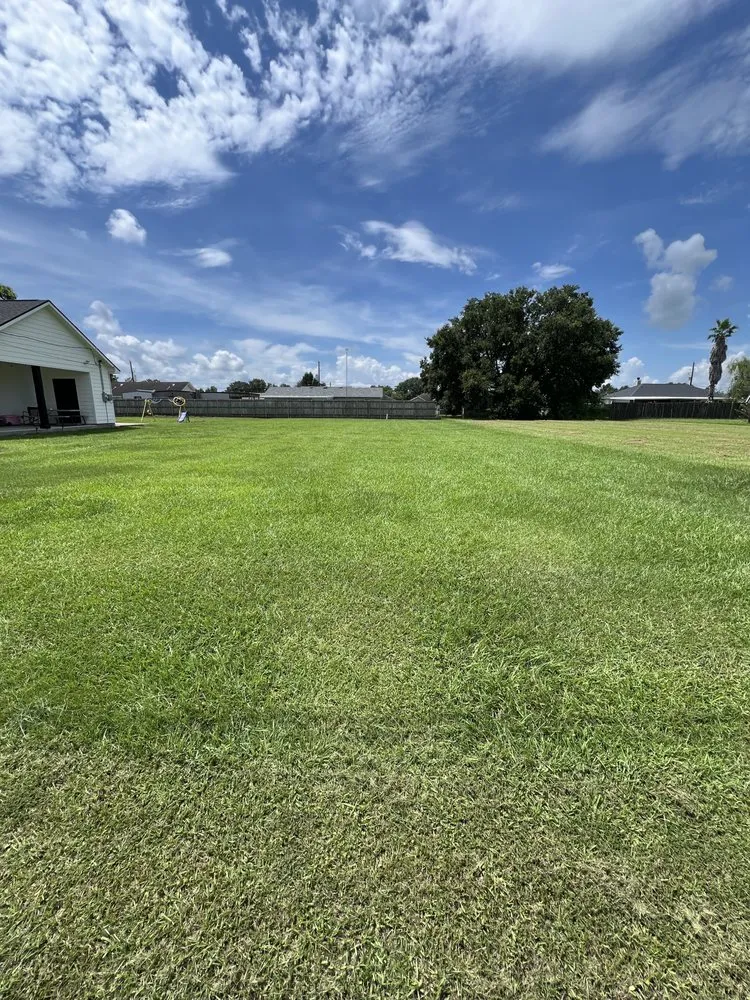 Top-rated yard cleanup service in Duson, LA - Oboys Lawn Service