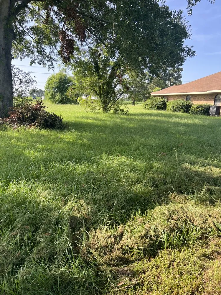 Top-rated landscaping services for homes across Duson, LA - Oboys Lawn Service