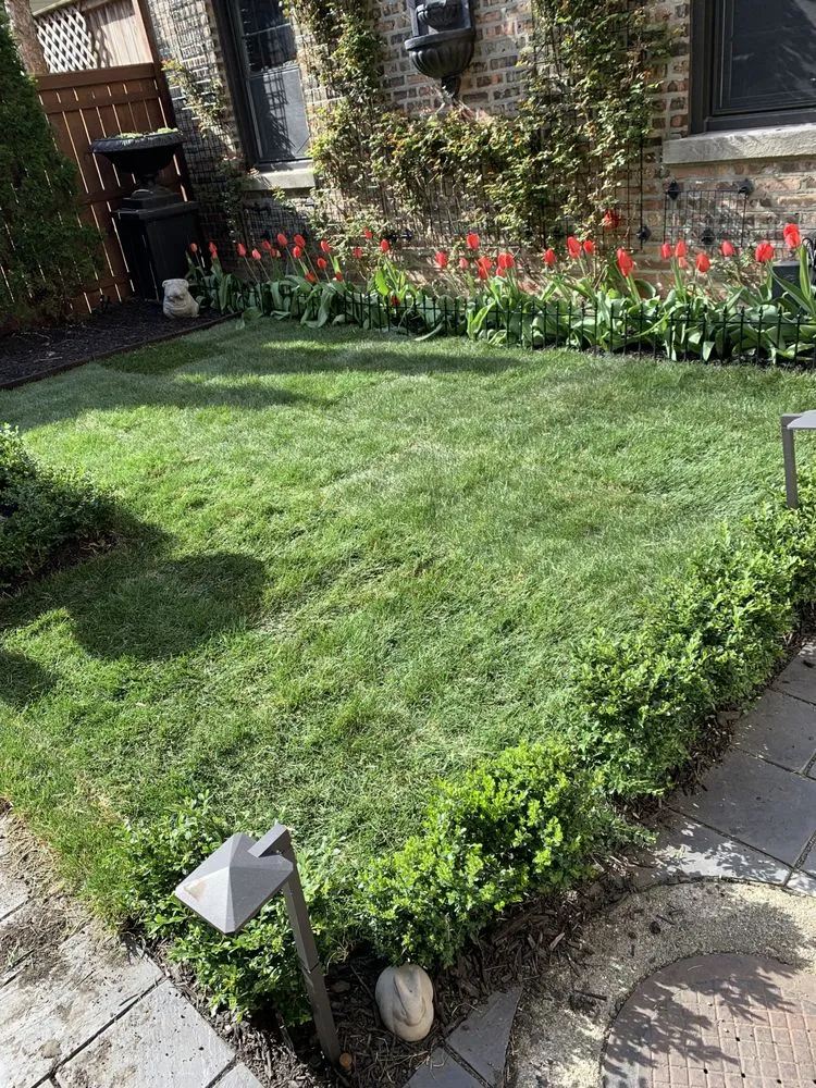 Affordable landscape design in Chicago, IL by O’Brien Brothers Landscaping