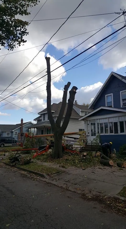 Reliable residential landscaping in Corfu, NY by O'Brien Family Landscaping and Tree Service