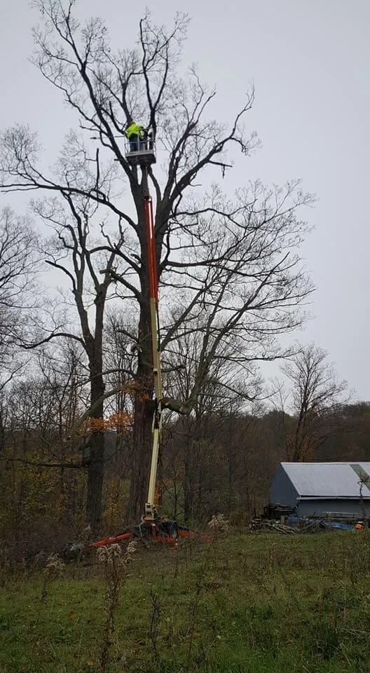 Affordable yard maintenance in Corfu, NY - O'Brien Family Landscaping and Tree Service