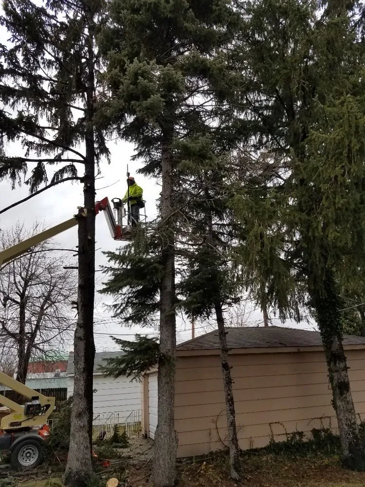 Custom yard cleanup service in Corfu, NY by O'Brien Family Landscaping and Tree Service