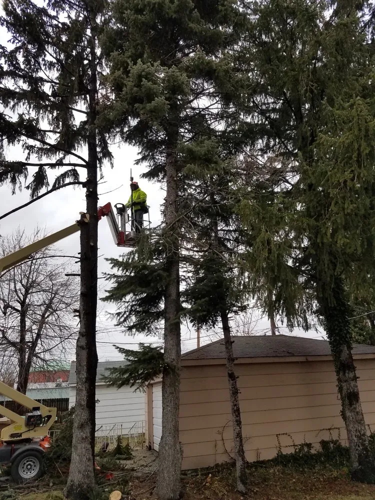 Expert landscape installation experts serving Corfu, NY - O'Brien Family Landscaping and Tree Service