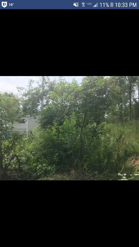 Affordable yard cleanup service for homes across Corfu, NY - O'Brien Family Landscaping and Tree Service