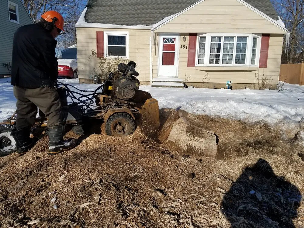 Custom landscape installation for homes in Corfu, NY by O'Brien Family Landscaping and Tree Service