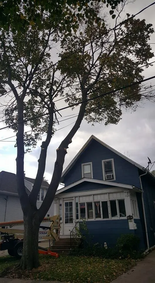 Affordable garden landscaping for homes in Corfu, NY by O'Brien Family Landscaping and Tree Service