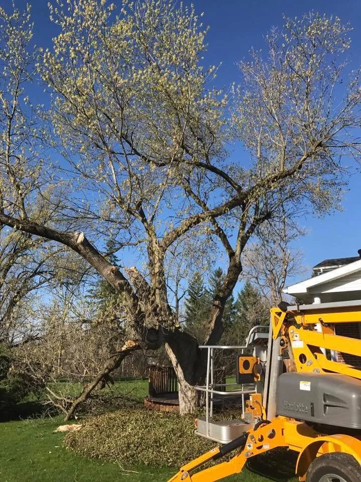 Custom outdoor landscaping for residential properties in Corfu, NY by O'Brien Family Landscaping and Tree Service