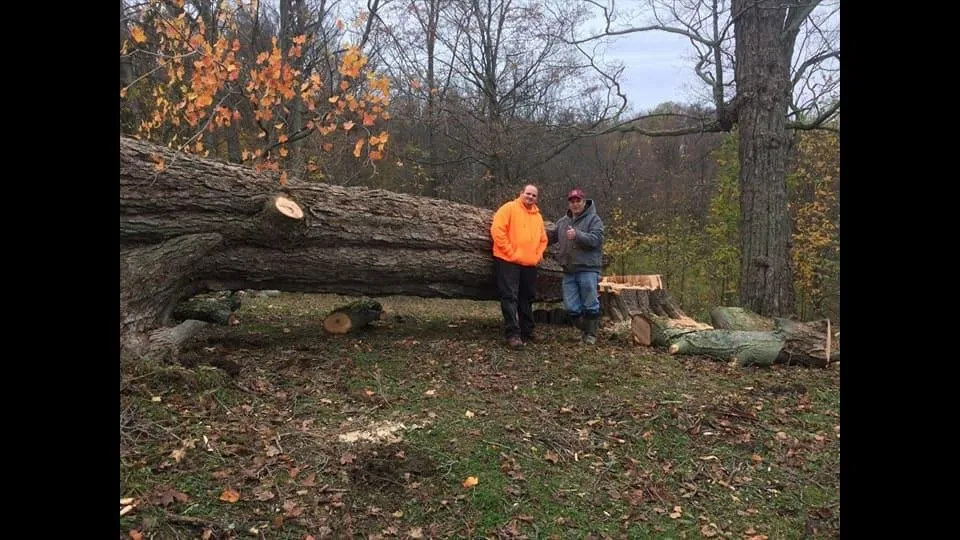 Affordable landscaping services near you in Corfu, NY by O'Brien Family Landscaping and Tree Service