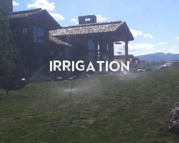 Reliable lawn mowing service for residential properties across Victor, ID - O'Brien Landscaping