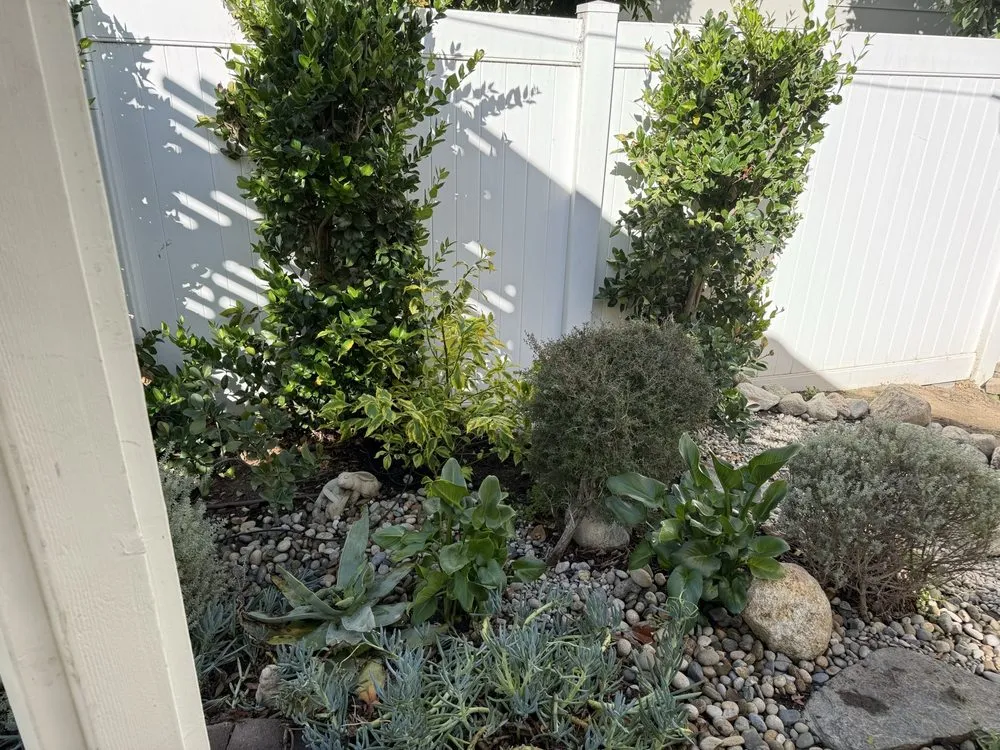 Affordable garden landscaping in Burbank, CA by Obrien Schridde Designs