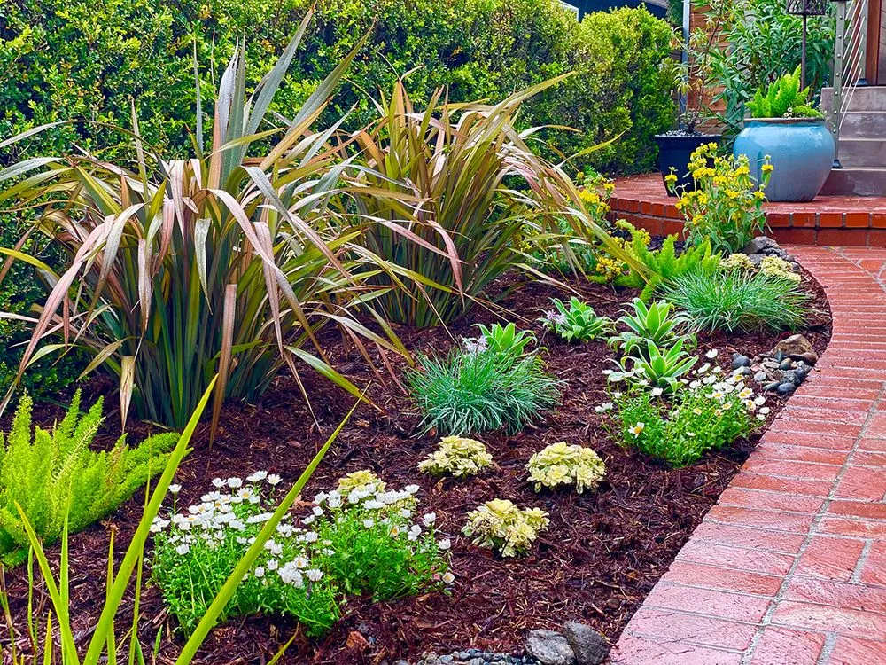 Affordable outdoor landscaping for beautiful yards across Burbank, CA - Obrien Schridde Designs